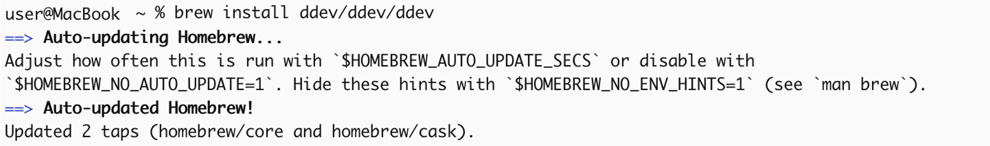 brew install ddev/ddev/ddevコマンド実行結果前半