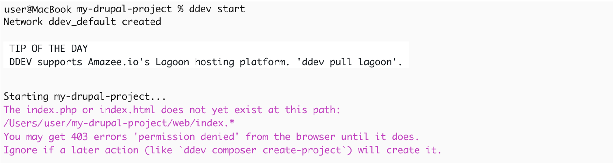 ddev start コマンド実行結果 前半