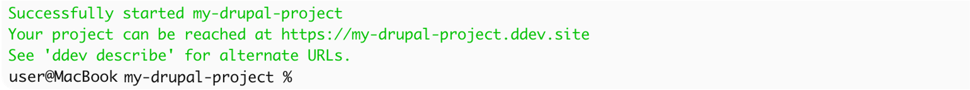 ddev start コマンド実行結果 後半