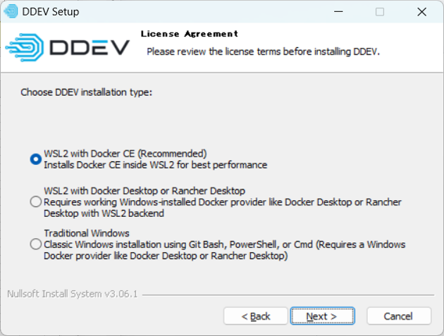 DDEVインストレーションタイプ選択画面